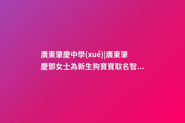 廣東肇慶中學(xué)|廣東肇慶鄧女士為新生狗寶寶取名智慧型套餐-第1張-公司起名-玄機(jī)派